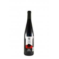 Pinot Noir 2020, Vinařství pod Radobýlem